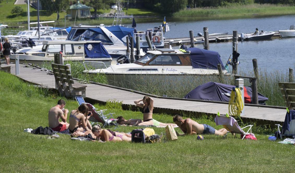 Temperaturer uppemot 20 grader kan väntas den första helgen i juni. Arkivbild. Foto: Fredrik Sandberg/TT