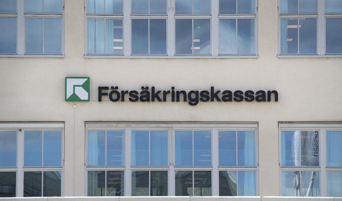 En kvinna i Uppsala län vabbade i sin makes namn. Arkivbild. Foto: Jessica Gow/TT