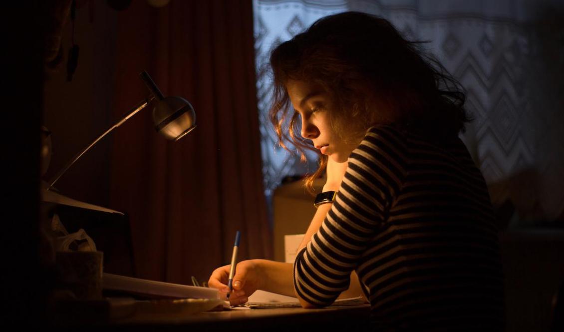 Vi vill alla ha barn som gillar att studera – frågan är vad vi kan göra för att skapa en kultur där skolan har hög status. Foto: Anna Pasichnyk