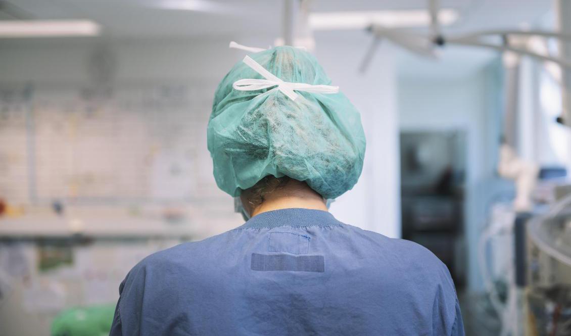 Svenska Veterinärförbundet vill titta närmare på veterinärernas arbetsmiljö och se över exakt hur många som lämnar klinikerna. Arkivbild. Foto: Stina Stjernkvist/TT