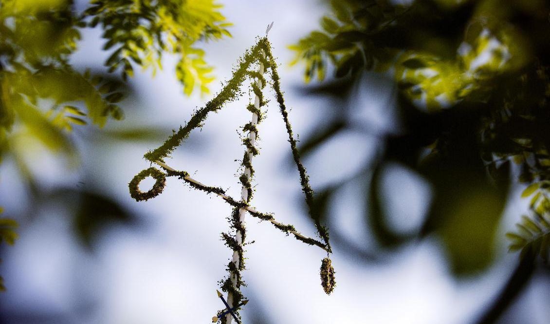 Midsommar väntas bli varm och solig. Arkivbild. Foto: Ulf Palm/TT