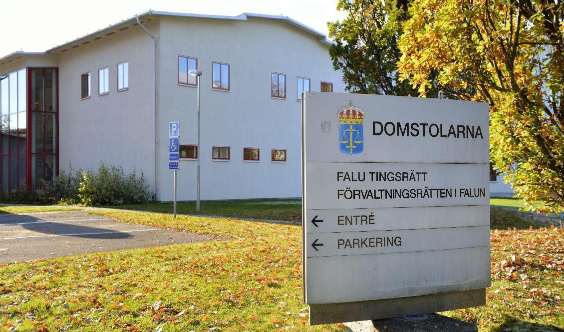I dag kan det dröja tre år innan gamla brottmål avgörs hos Falu tingsrätt. Arkivbild. Foto: Henrik Montgomery/TT