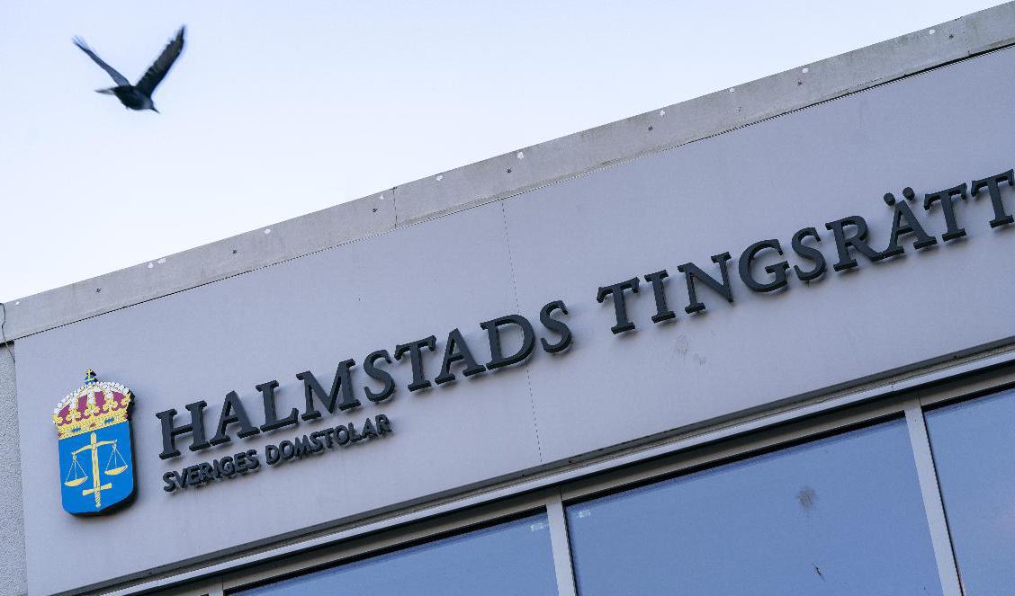 Halmstad tingsrätt går på åklagarens linje. Arkivbild. Foto: Johan Nilsson/TT
