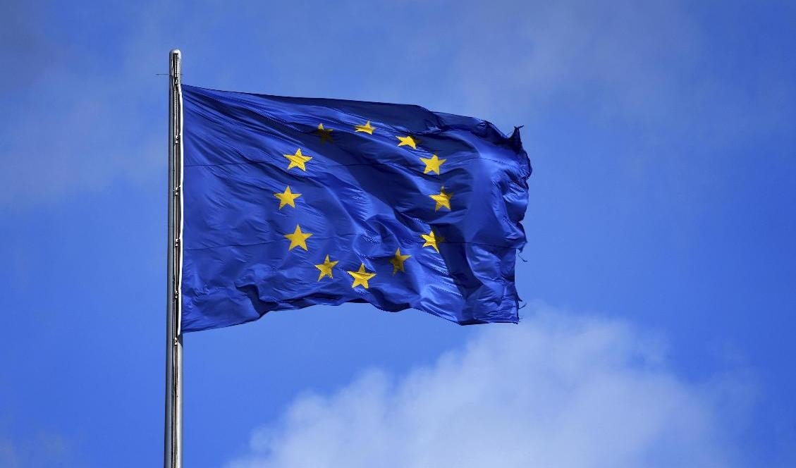 Inflationstrycket inom EU fortsätter att vara högt. Arkivbild. Foto: Michael Sohn/AP/TT