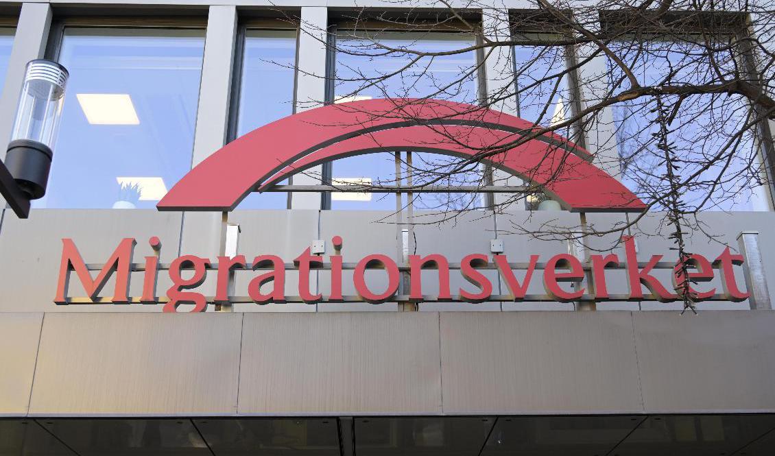 En utredning om offentliga biträden är tänkt att stärka rättssäkerheten i asylärenden. Arkivbild. Foto: Janerik Henriksson/TT