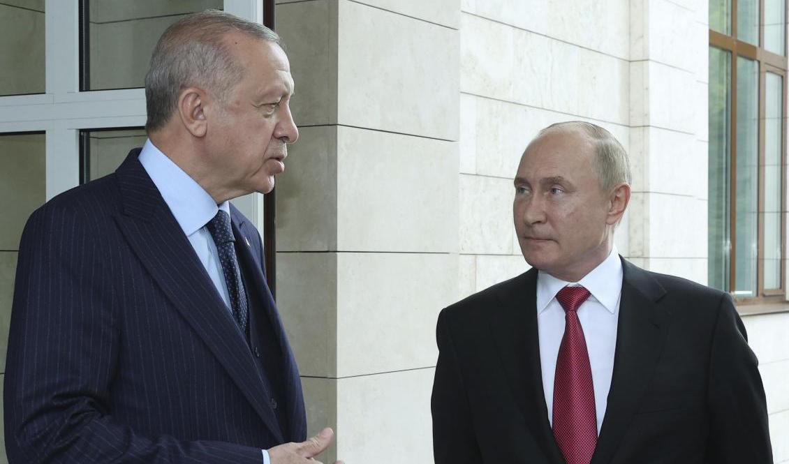 Turkiets Recep Tayyip Erdogan och Rysslands Vladimir Putin ska ses i Teheran. Här träffades de i ryska Sotji i september förra året. Arkivbild. Foto: Turkiets presidentkansli via AP/TT