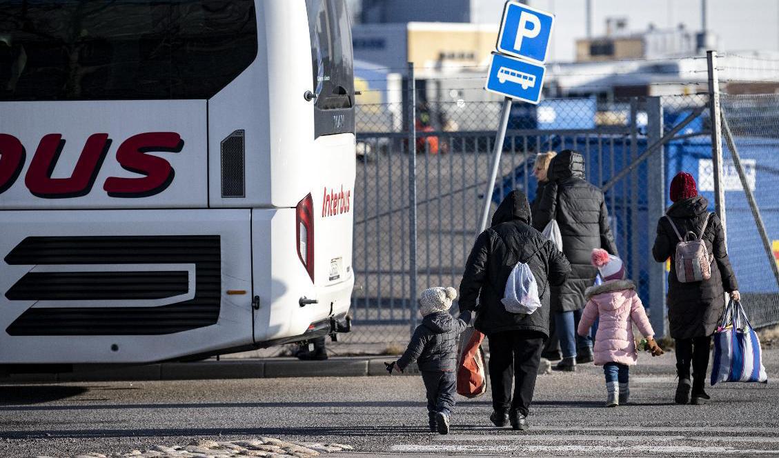 När den ukrainska flyktingströmmen var som störst i våras kom tusentals med färja till Karlskrona. Arkivbild. Foto: Johan Nilsson/TT