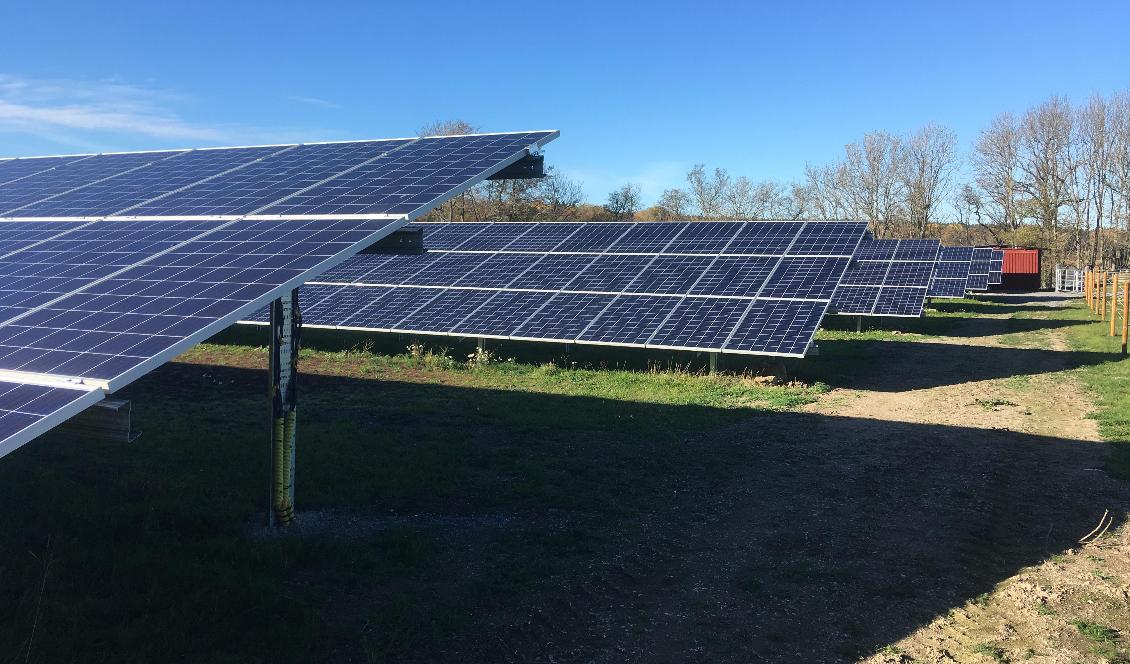 Ågesta solaranläggning i Huddinge kommun. Solpanelsanläggningen har ingen koppling till artikeln. Foto: Holger Ellgaard/CC BY-SA 4.0