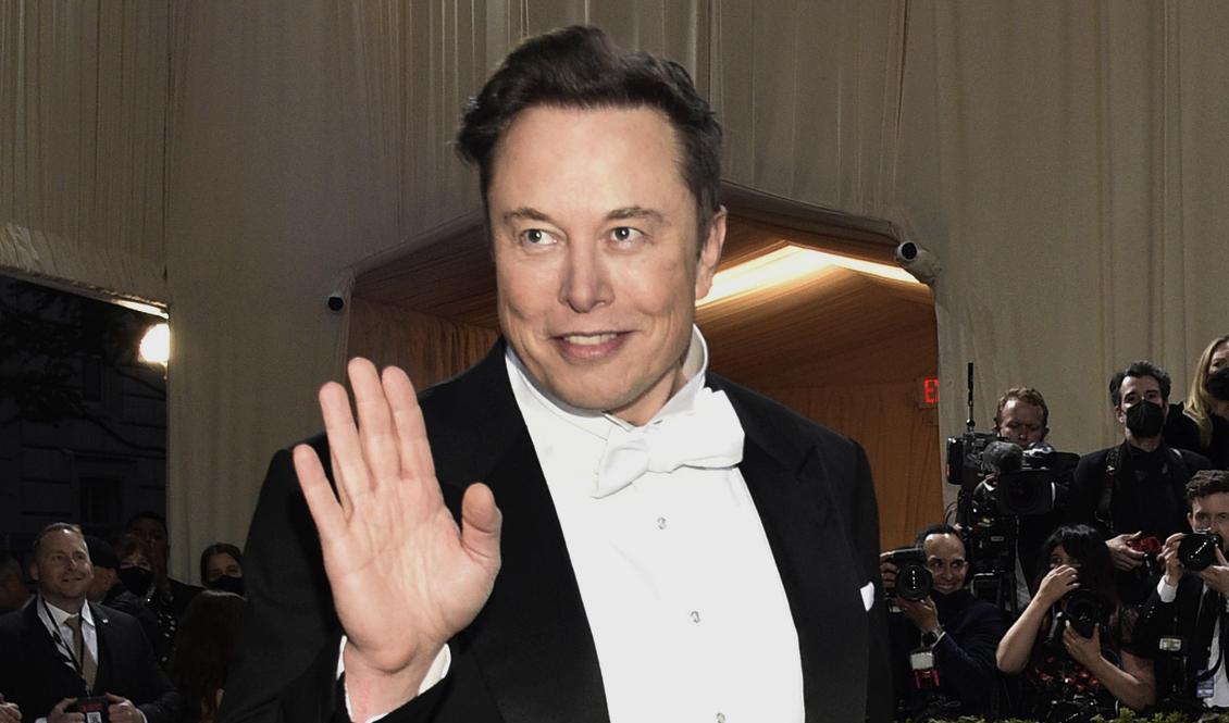 I Elon Musks motstämning anklagar miljardären Twitter för bedrägeri. Arkivbild. Foto: Evan Agostini/AP/TT