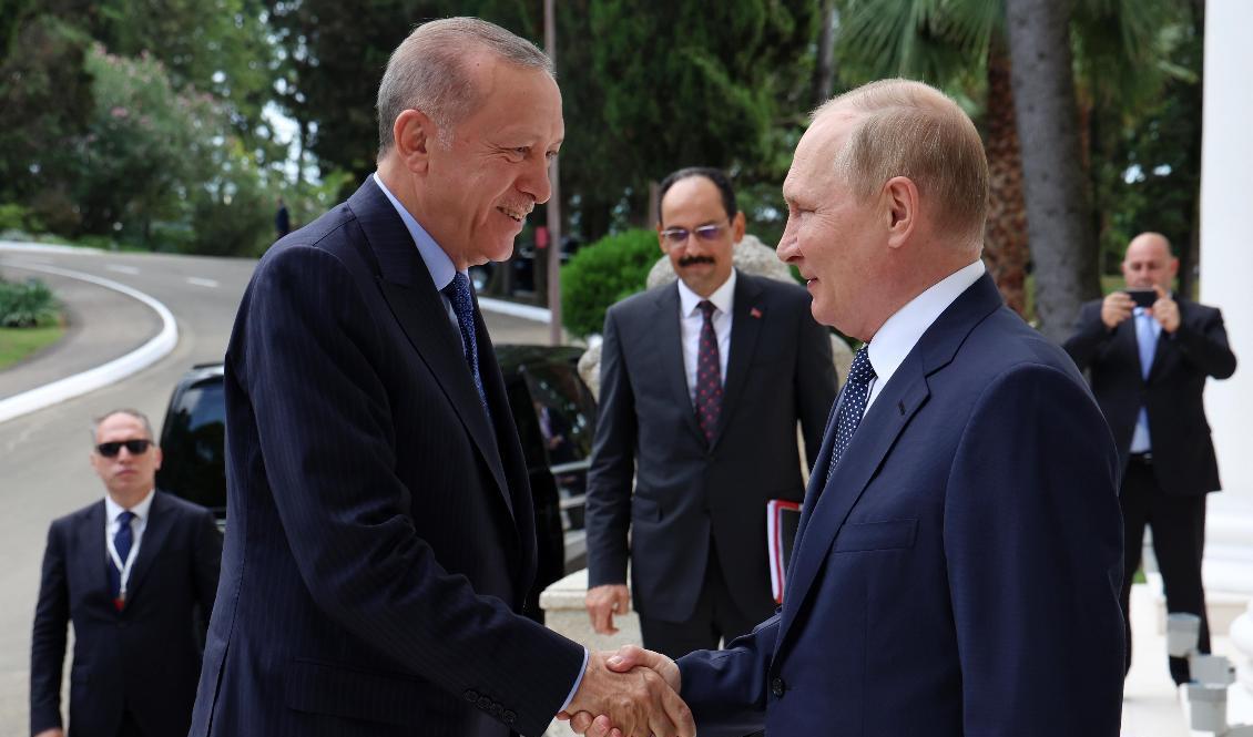 Turkiets president Recep Tayyip Erdogan hälsar på sin värd, Rysslands president Vladimir Putin, i Sotji vid Svarta havet på fredagen. Foto: Vyacheslav Prokofyev/AP/TT