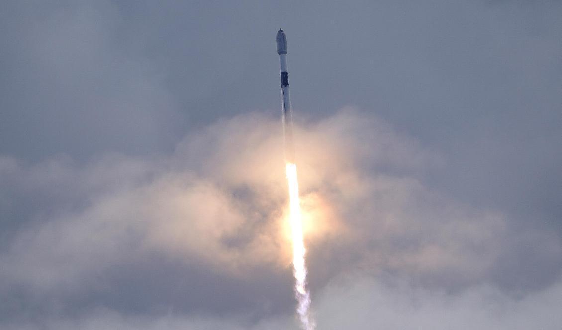 Uppskjutning av en Falcon 9-raket lastad med Starlink-satelliter tidigare i juli. Arkivbild. Foto: John Raoux/AP/TT