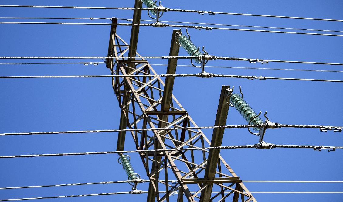 På måndagen ligger elpriset i södra Sverige på rekordnivåer. Arkivbild. Foto: Johan Nilsson/TT