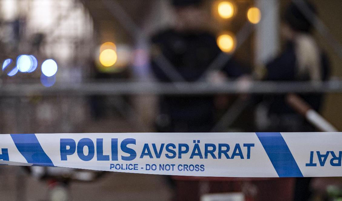 Polisen går inte ut med vad det är för typ av butik. Arkivbild. Foto: Johan Nilsson/TT