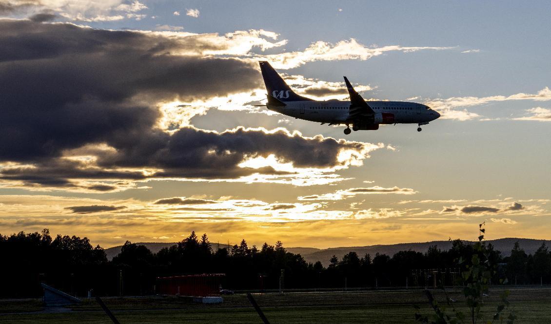 Ett SAS-plan på väg att landa vid Oslos flygplats. Foto: Javad Parsa/NTB/TT