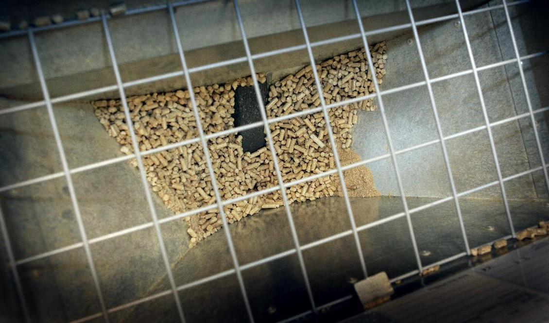 Exporten av pellets har minskat kraftigt från stora producenter som Ryssland, Ukraina och Belarus. Arkivbild. Foto: Gorm Kallestad/NTB/TT
