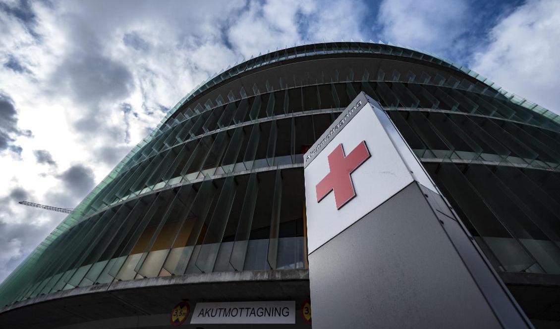 Akutmottagningen på Skånes universitetssjukhus har drabbats av en invasion av flugor. Arkivbild. Foto: Johan Nilsson/TT