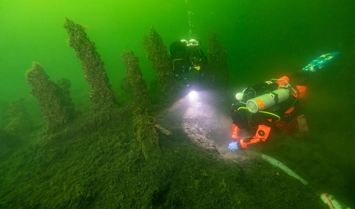 Dykning vid skeppet Gribshunden från 1495 som ligger utanför Blekingekusten. Brett Seymour/TT