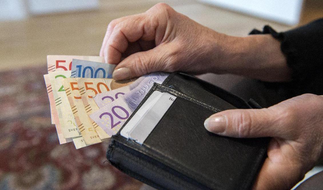 Mer pengar i plånboken kan vara en viktig valfråga för många. Arkivbild Foto: Henrik Montgomery/TT