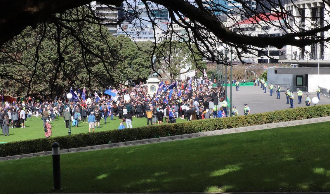 Demonstranter protesterade mot den nyzeeländska regeringens förda politik. Foto: Lynn Grieveson/Getty Images