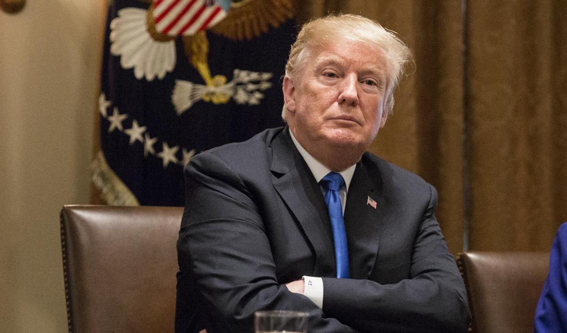 USA:s tidigare president Donald Trump. Foto: Samira Bouaou