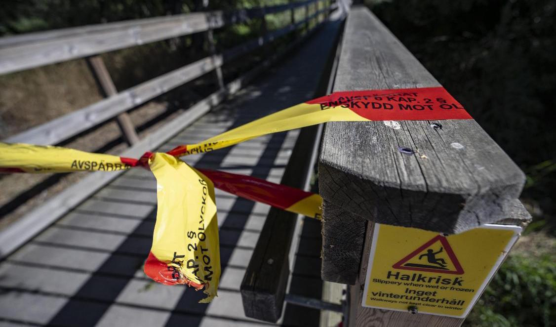 Under lördagsdygnet brann det på nio olika platser i Kristianstad, bland annat här vid Naturum. Foto: Johan Nilsson/TT