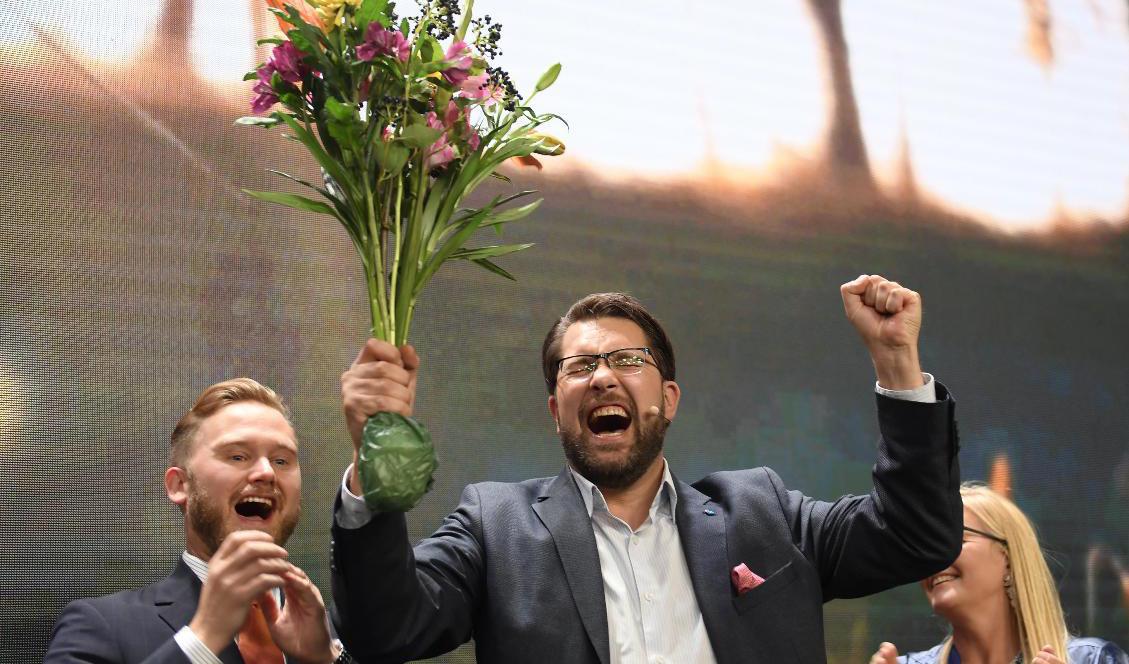 Sverigedemokraternas partiledare Jimmie Åkesson. Foto: Maja Suslin/TT