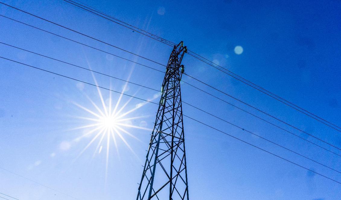 Två elnätsföretag flaggar för höjda avgifter. Arkivbild. Foto: Håkon Mosvold Larsen/NTB/TT