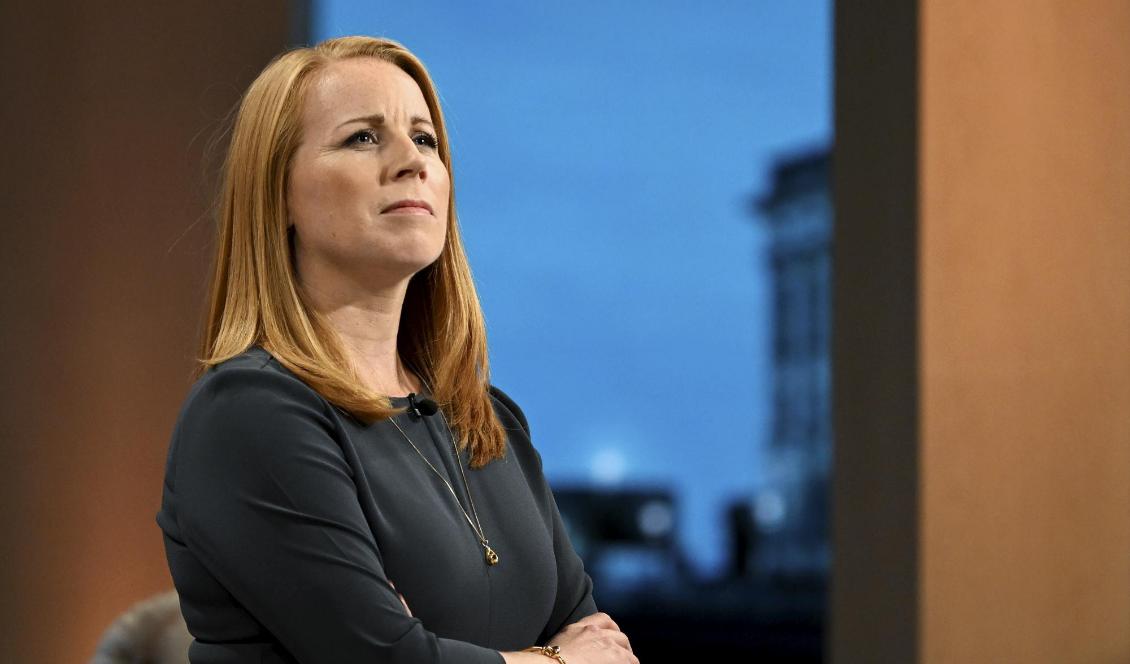 Centerpartiets partiledare Annie Lööf. Arkivbild. Foto: Anders Wiklund/TT