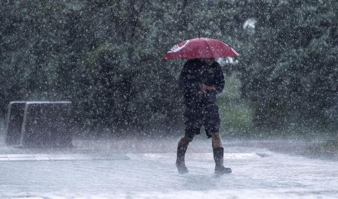 SMHI varnar för stora mängder regn i sydöstra Skåne. Arkivbild. Foto: Johan Nilsson/TT