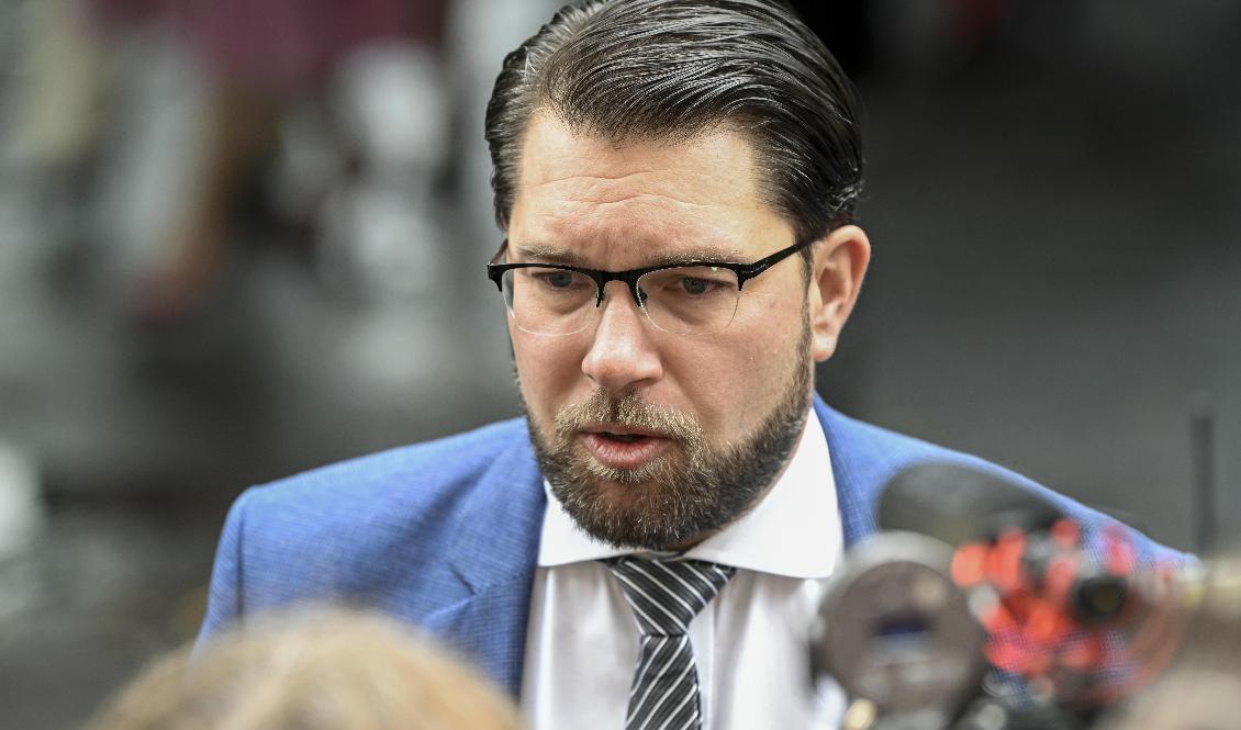 SD får ordförandeposten i två tunga utskott. Arkivbild Foto: Fredrik Sandberg/TT