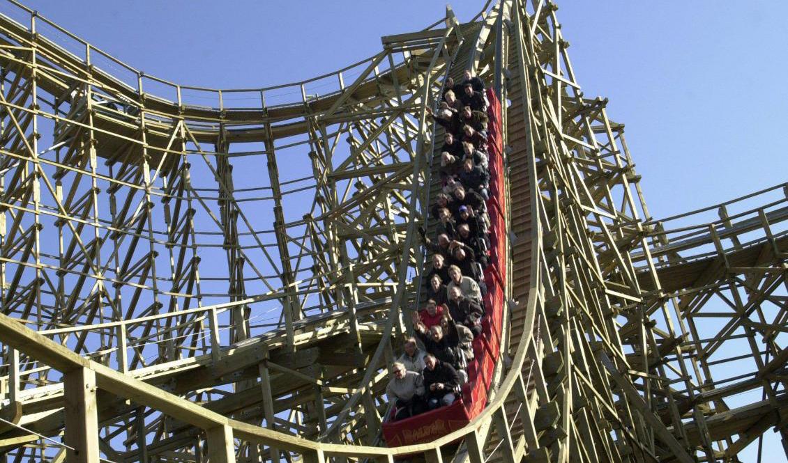 Älgen tog sin in på Liseberg, men fick avlivas i närheten av Balder. Arkivbild. Foto: Anna Clarén / TT