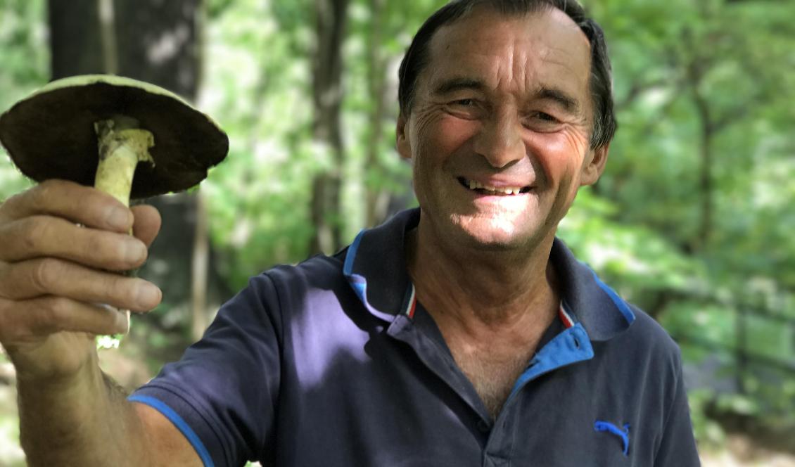 Bo Nylén är en av Sveriges mest kända mykologer. Han har medverkat som rådgivare vid många svamputställningar, svamputställningar, och i helgen deltar han på utställningen i Stockholm. Foto: Louise Tenn