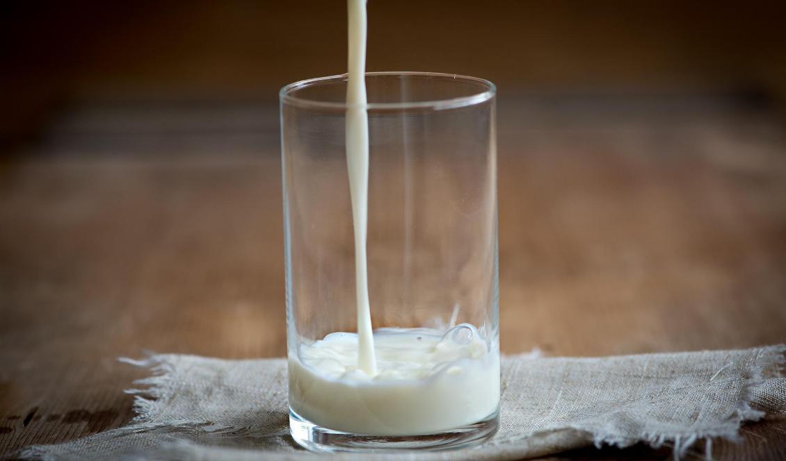 
Mejerijätten Arla tvingas höja mjölkpriset. Foto: Pixabay                                            