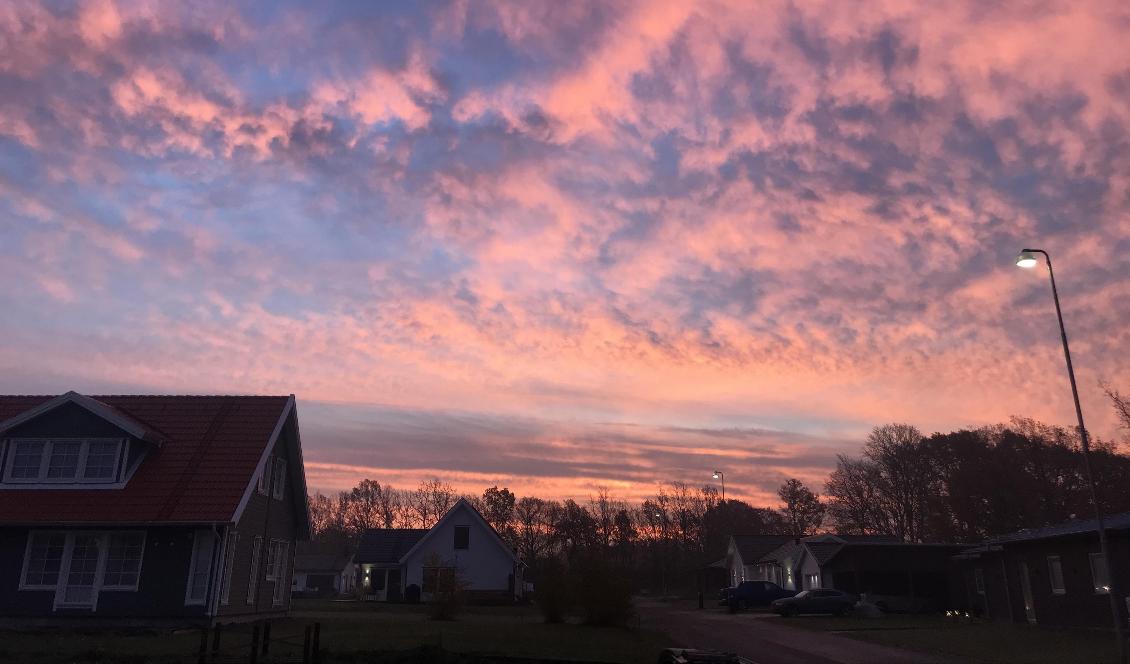 Det är något underbart med att äga sitt eget boende. Det skapar en känsla av ansvar och stolthet. Att man har en plats som är ens egen. Foto: Anton Nilsson
