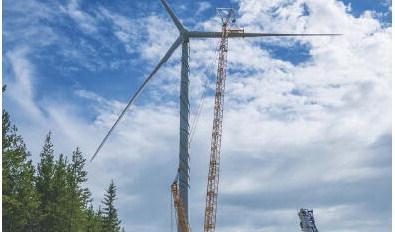 Inget annat energislag dödar fler fåglar, fladdermöss och insekter i Sverige än vindenergin, påpekar debattören. Foto: Bilbo Lantto