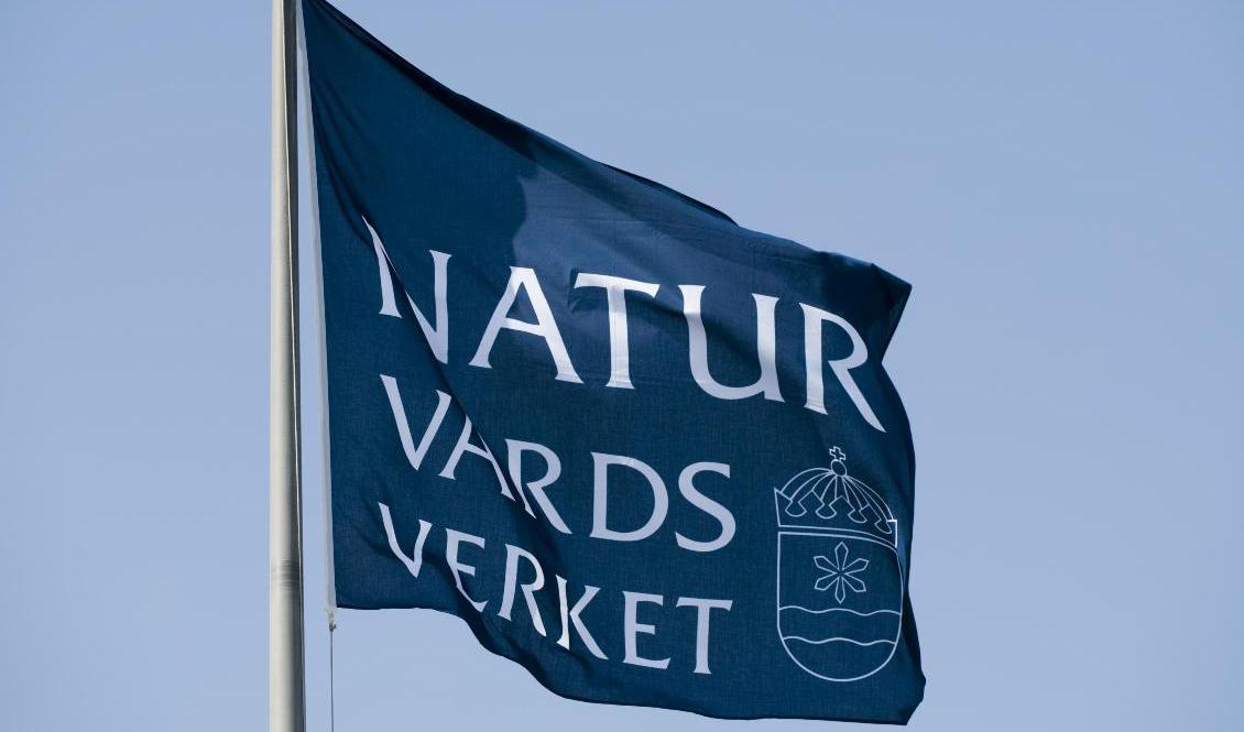 Naturvårdsverket har drabbats av ett dataintrångsystem. Arkivbild. Foto: Henrik Montgomery/ TT