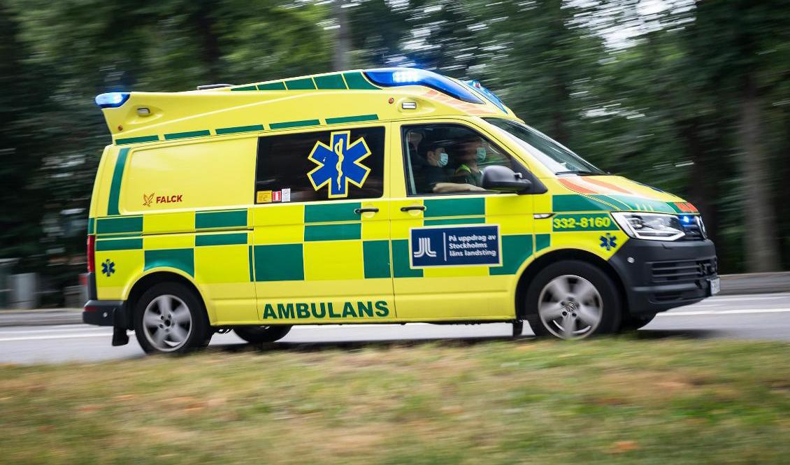 En man har skottskadats i samband med älgjakt. Arkivbild. Foto: Stina Stjernkvist/TT