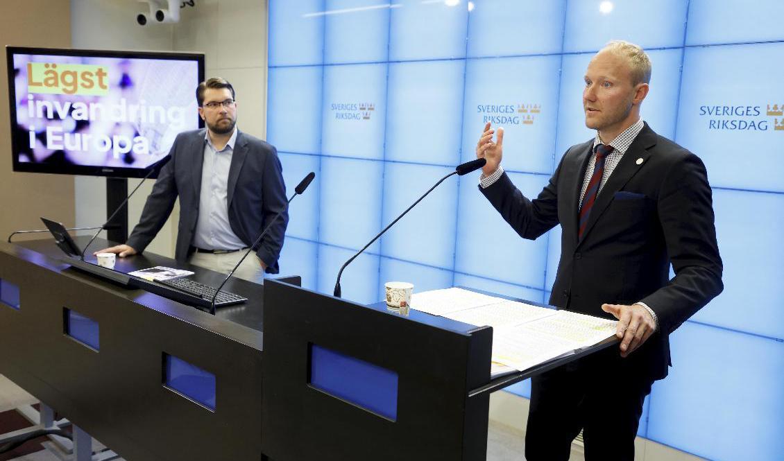 Sverigedemokraternas partiledare Jimme Åkesson och migrationspolitiska talesperson Ludvig Aspling. Arkivbild. Foto: Christine Olsson/TT
