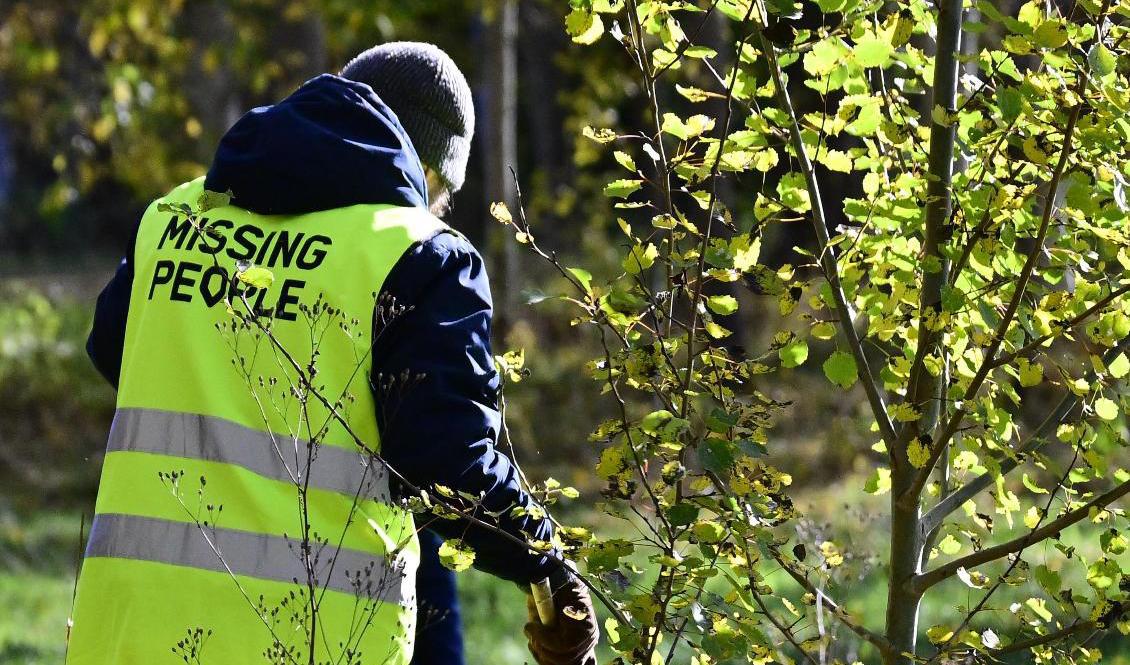 Missing People fortsätter under söndagen att söka efter den försvunna kvinnan i Vetlanda. Bilden är tagen i onsdags. Foto: Mikael Fritzon/TT