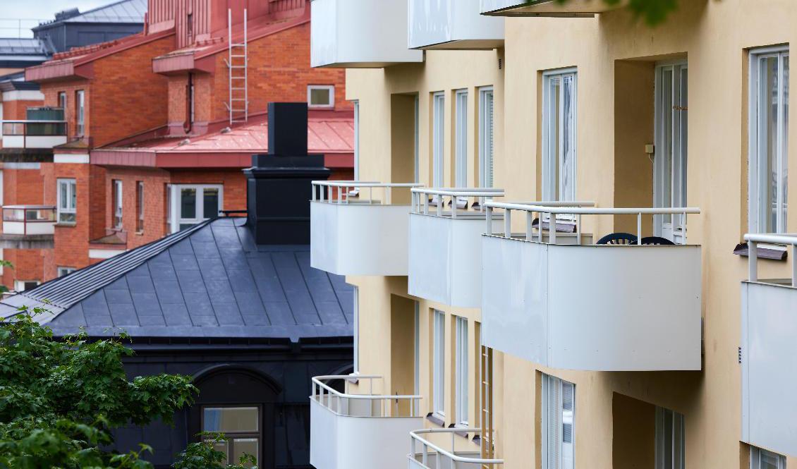 Inte lika hetsigt längre. Arkivbild. Foto: Fredrik Persson/TT