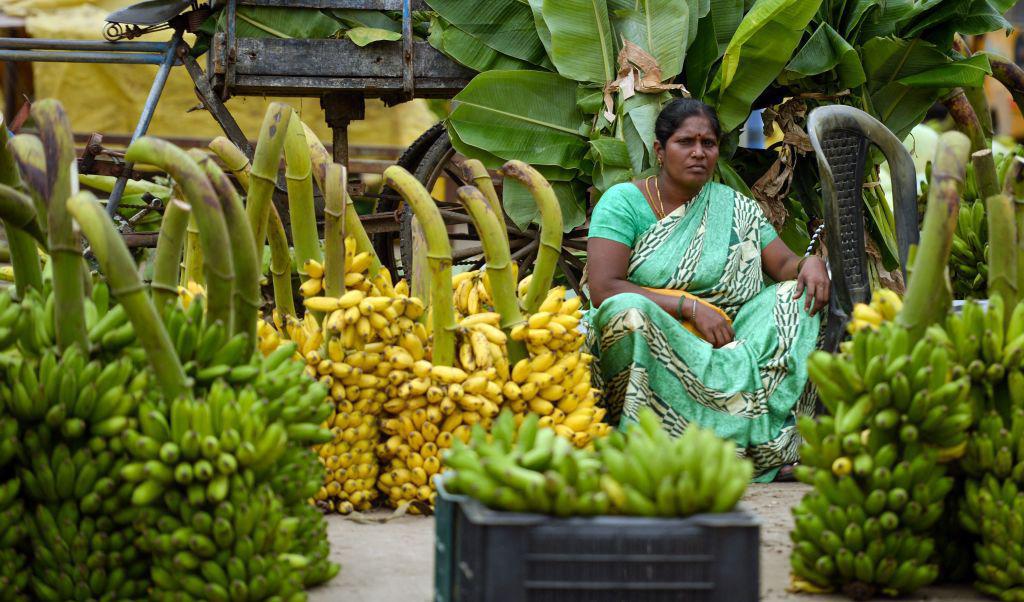 En kvinna säljer bananer på en marknad under Durga Puja-festivalen i Chennai. Foto: Arun Sankar/AFP via Getty Images