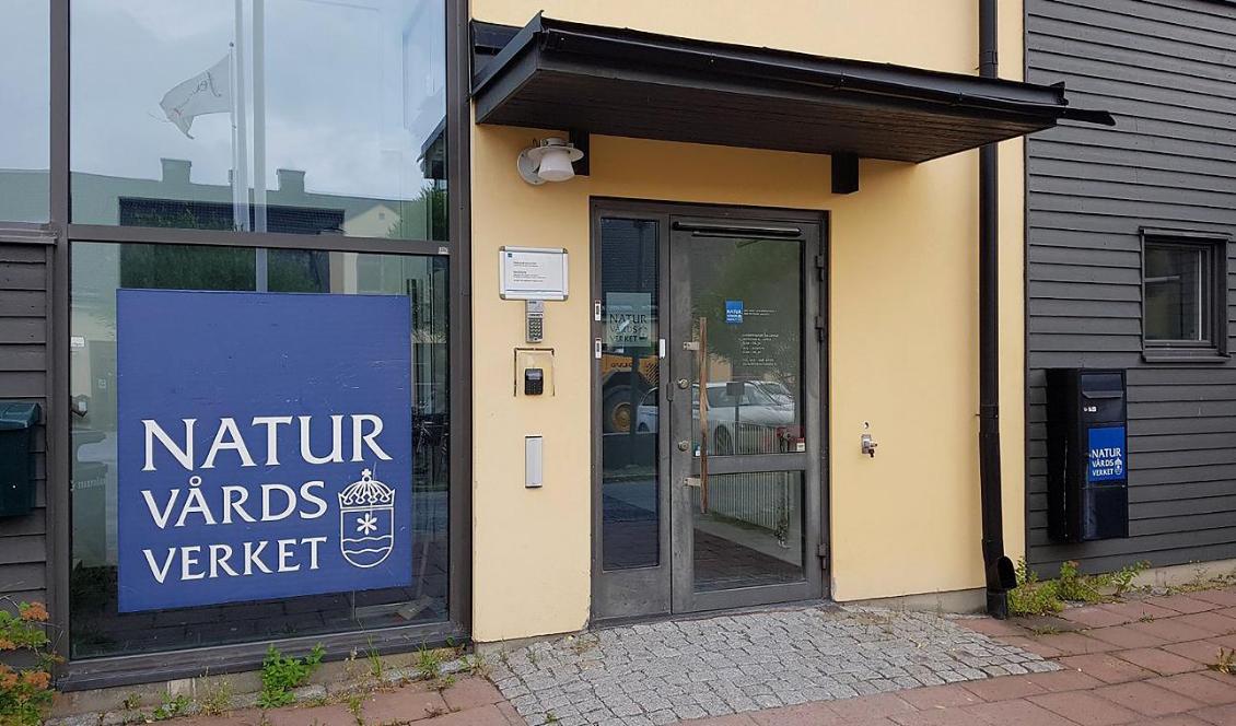 Naturvårdsverket öppnar nu sina it-system efter ett omfattande dataintrång. Foto: Naturvårdsverket