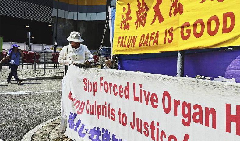 En person justerar en upphängd banderoll mot påtvingad organskörd från Falun Gong-utövare, i Hong Kong. Foto: Anthony Wallace/AFP via Getty Images