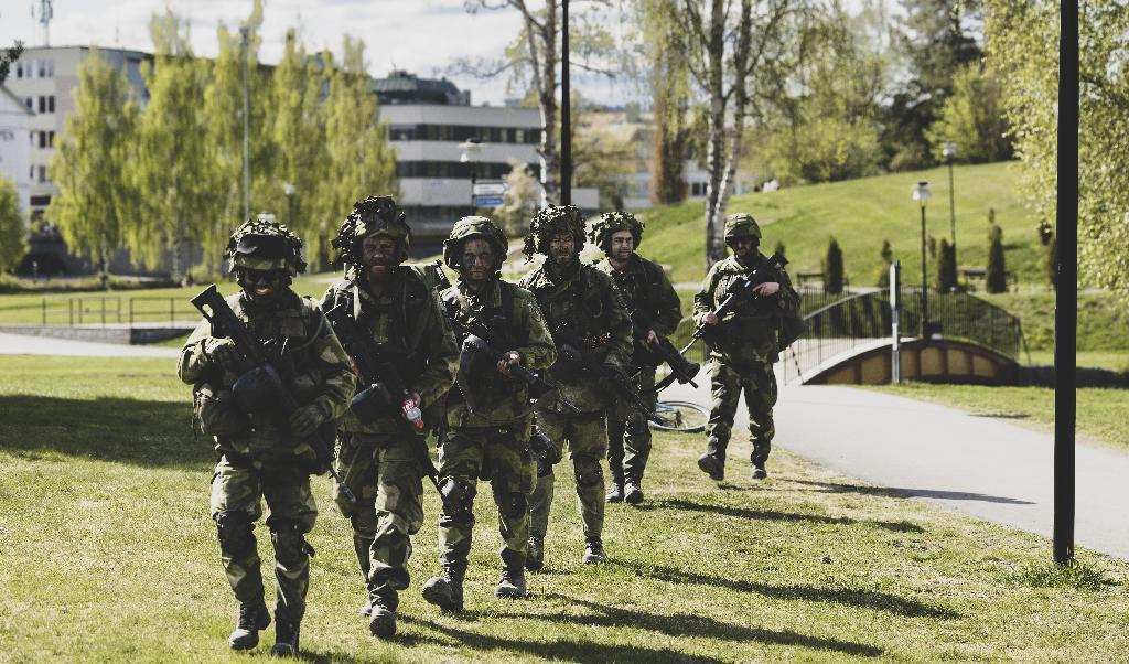 En av Sveriges hemvärnsbataljoner övar i Sollefteå stadspark under en totalförsvarsövning. Foto: Joel Uthungringen/Försvarsmakten