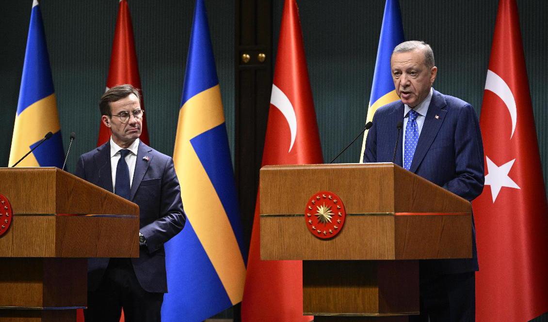 Foto: Henrik Montgomery/TT