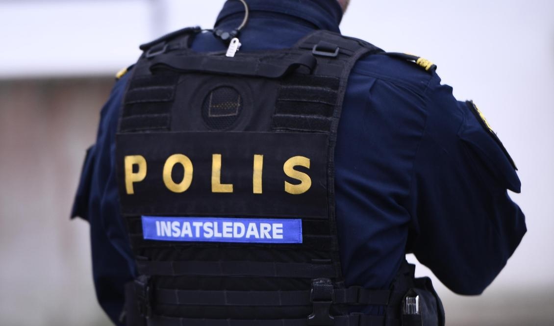 Flera vapen och en större mängd narkotika påträffades i bostaden. Arkivbild. Foto: Tim Aro/TT