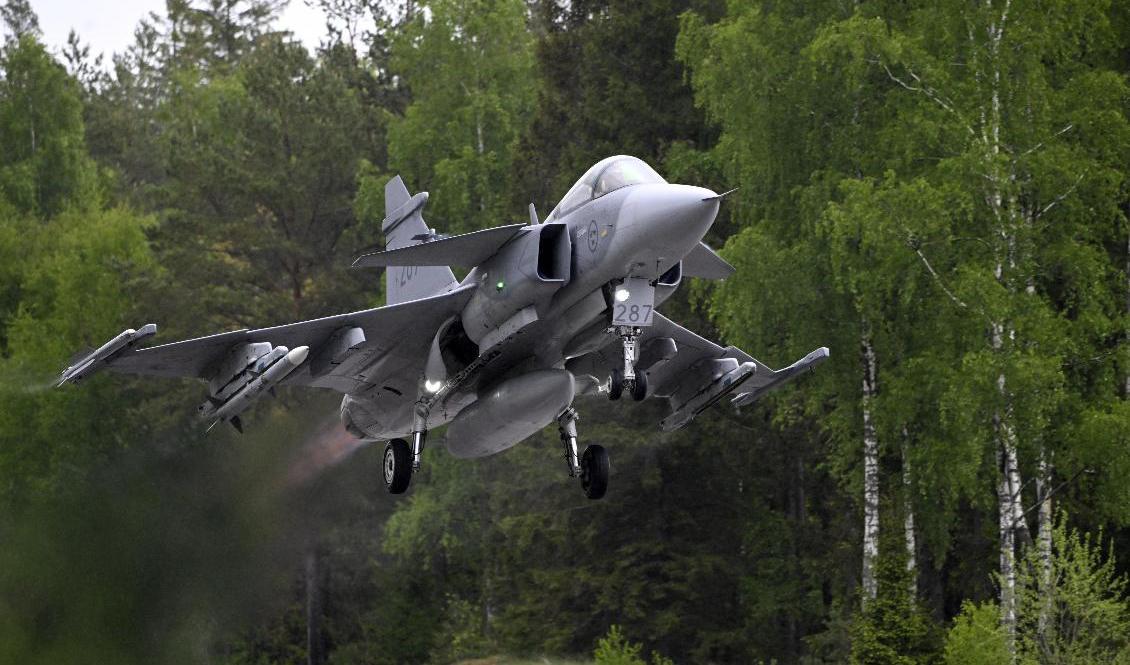 Många av Sveriges Gripenpiloter är så missnöjda med sina arbetsvillkor att de tagit tjänstledigt för att studera till andra yrken. Arkivbild. Foto: Fredrik Sandberg/TT