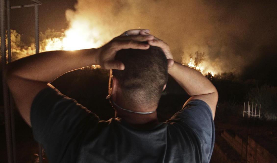 En algerisk man i den bergiga Kabyleregionen, öster om huvudstaden Alger, ser på en av de förödande skogsbränder som härjade i Algeriet i augusti förra året. Arkivbild. Foto: Fateh Guidoum/AP/TT