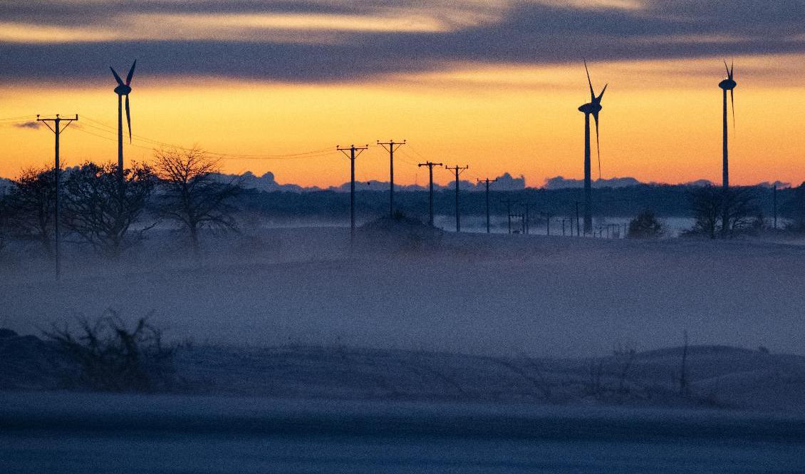 



Kraftledning mellan vindkraftverken utanför Tomelilla tidigare i november. Foto: Johan Nilsson/TT                                                                                                                                                                                