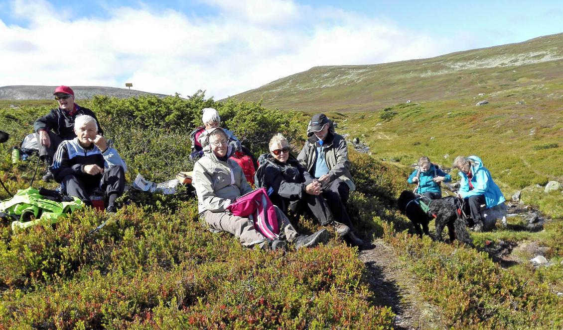 Seniorporten är en digital mötesplats, men grundaren Marie Hedlund brinner för möten i verkliga livet. Bland Bland annat arrangeras fjällvandringar för medlemmarna. Foto: Seniorporten